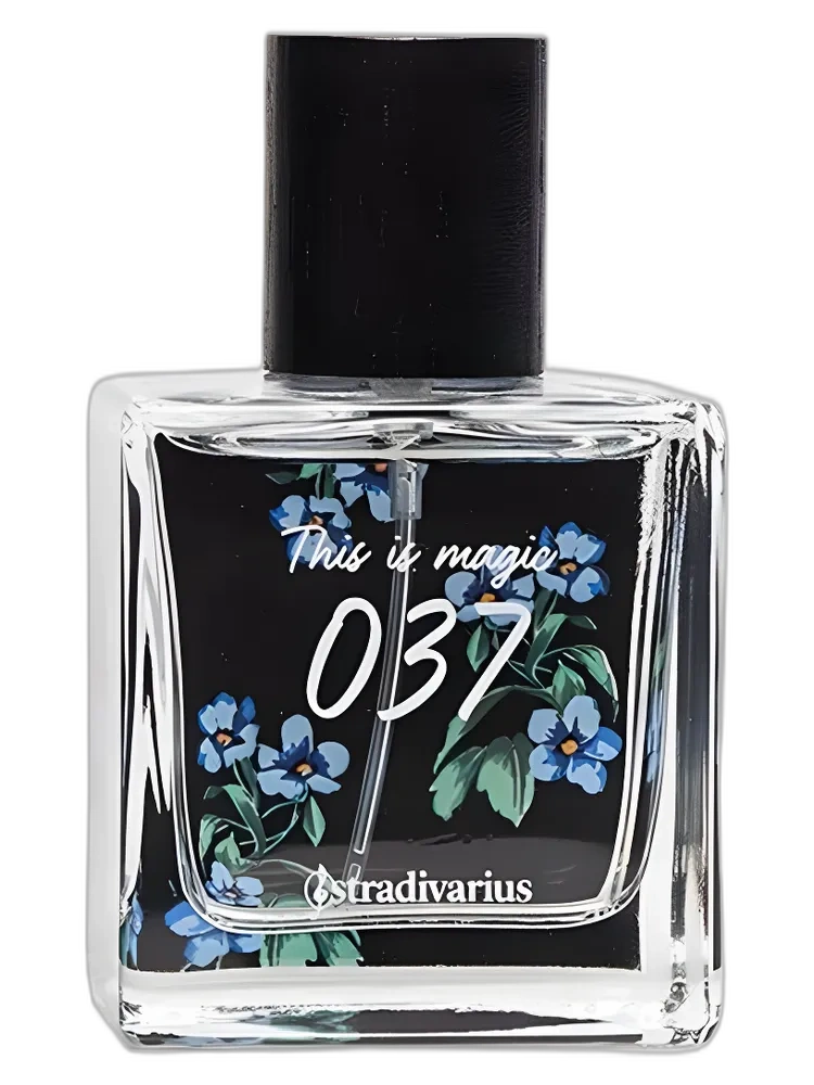 This is Magic by Stradivarius