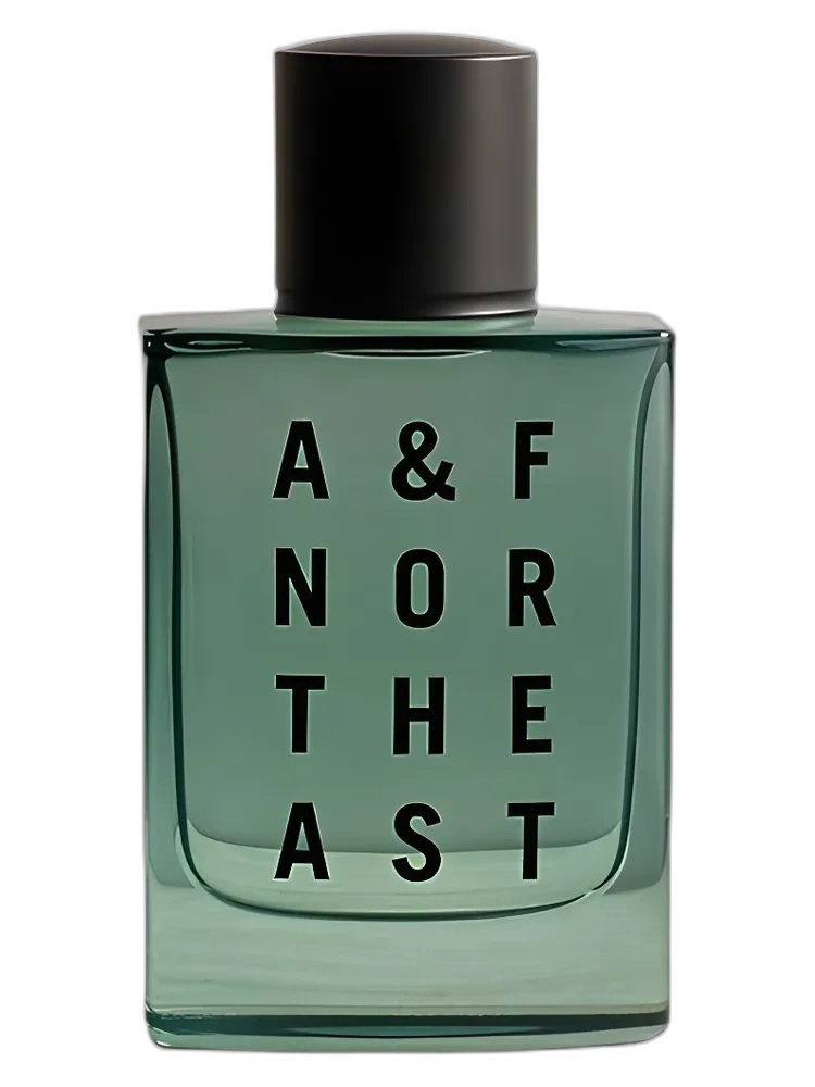 Northeast by Abercrombie & Fitch