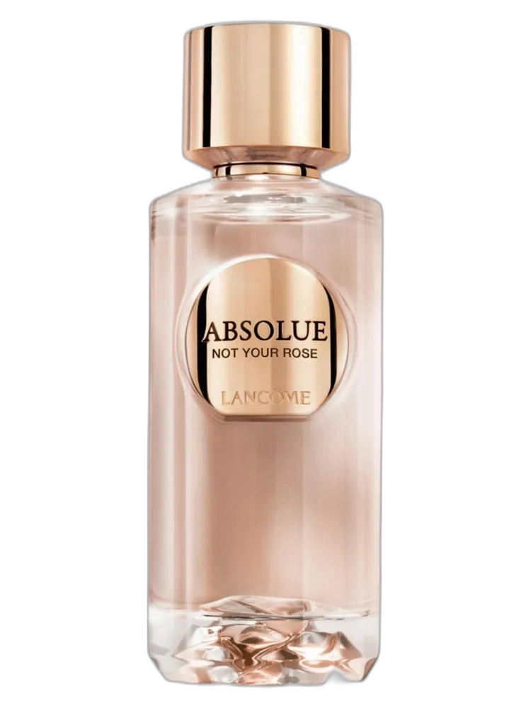 Absolue - Not Your Rose