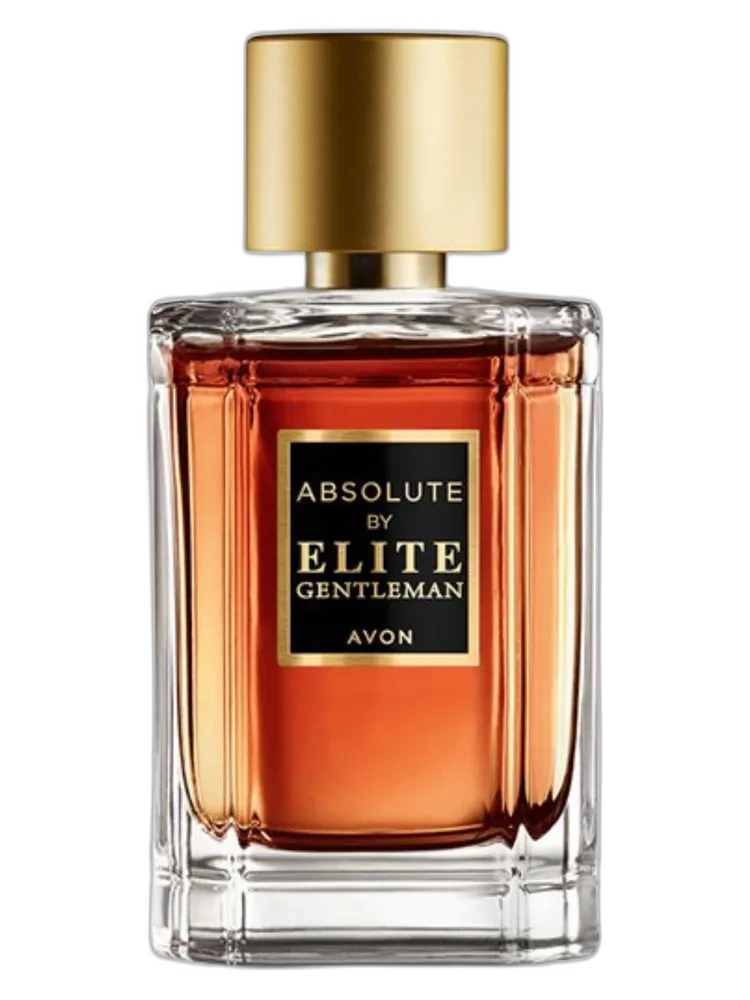 Absolute by Elite Gentleman