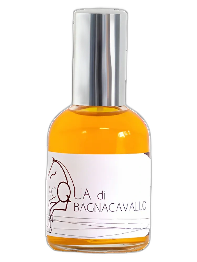 Acqua di Bagnacavallo unisex