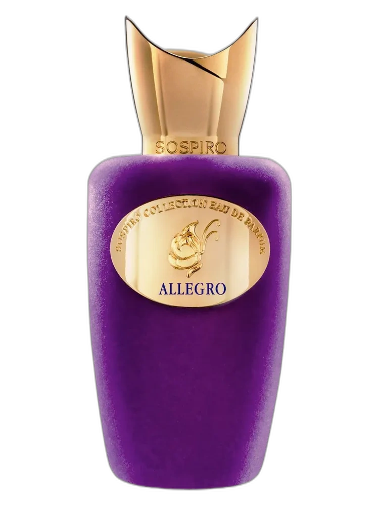 Allegro unisex