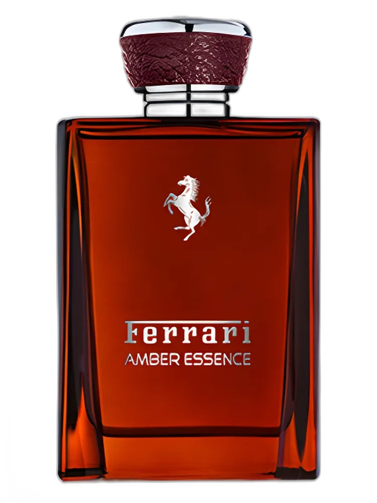 Amber Essence 2016 for men