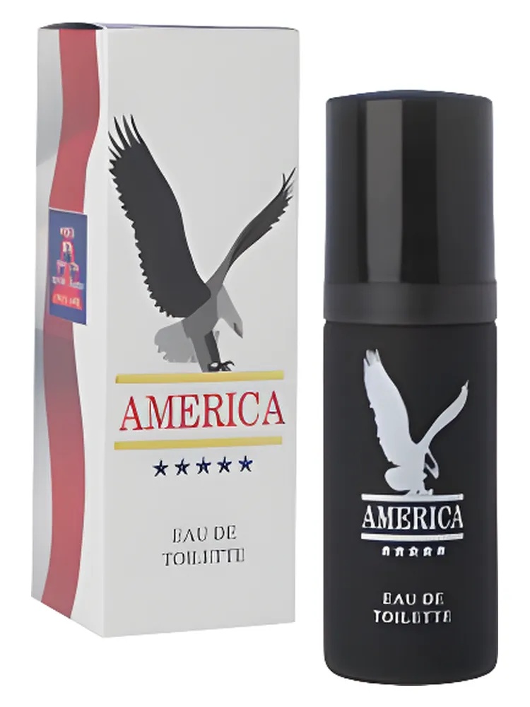America thumbnail 2