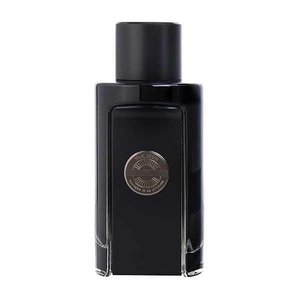 Antonio Banderas The Icon