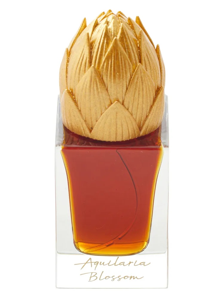 Areej Le Doré Aquilaria Blossom Areej Le Dore bottle