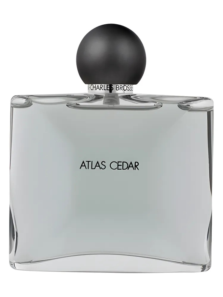 Atlas Cedar for men