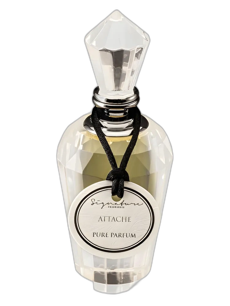 Attache