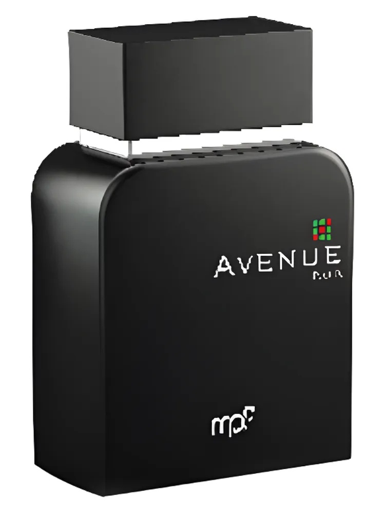 Avenue Noir for men