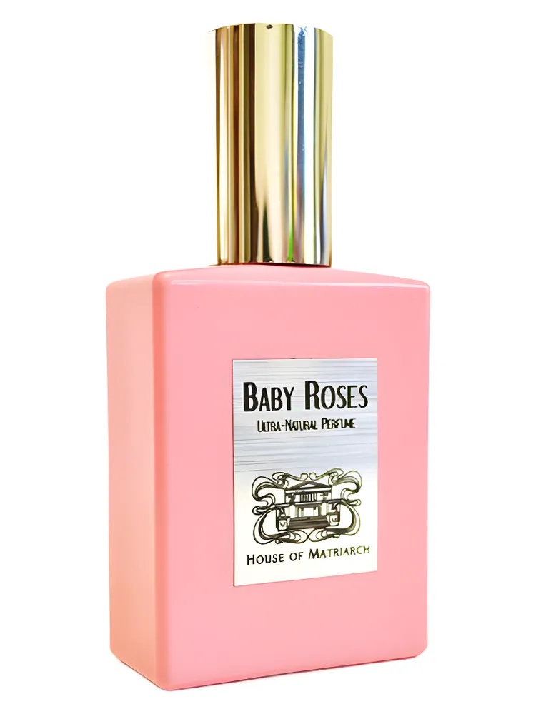 Baby Roses thumbnail 2