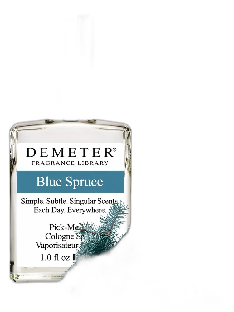 Blue Spruce