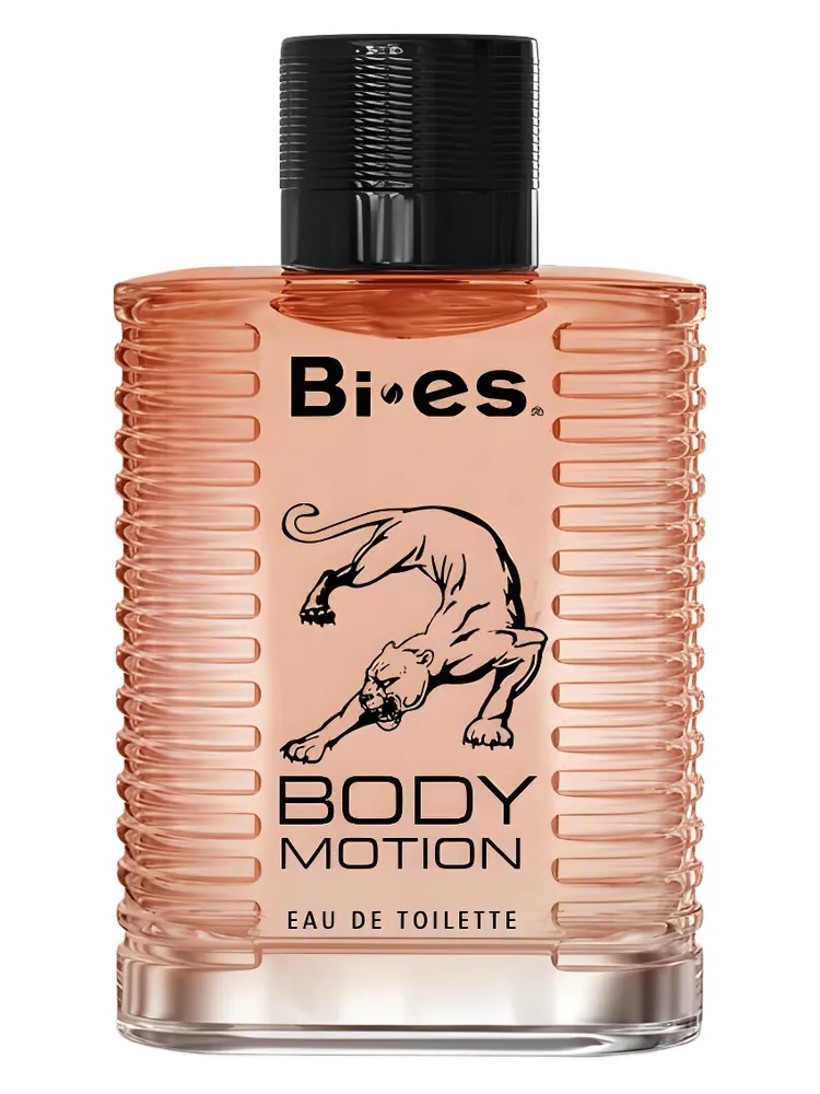 Miniatura 2 de Body Motion