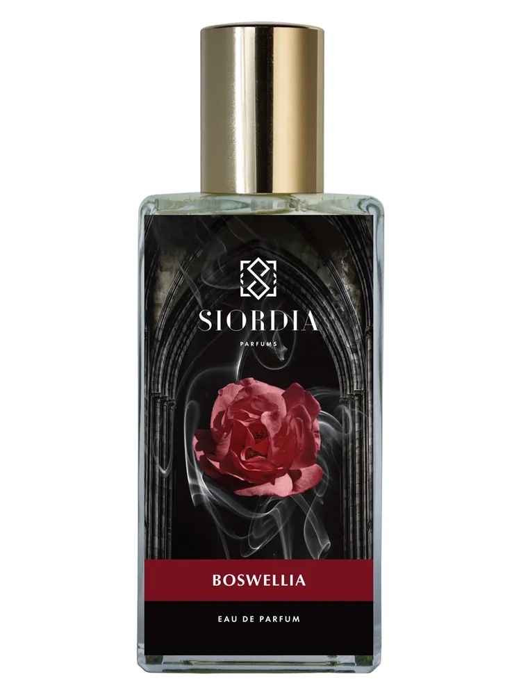 Boswellia thumbnail 2