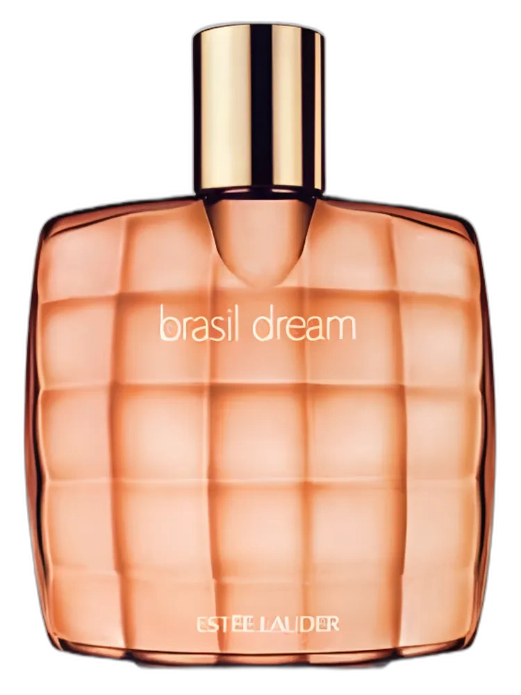 Brasil Dream