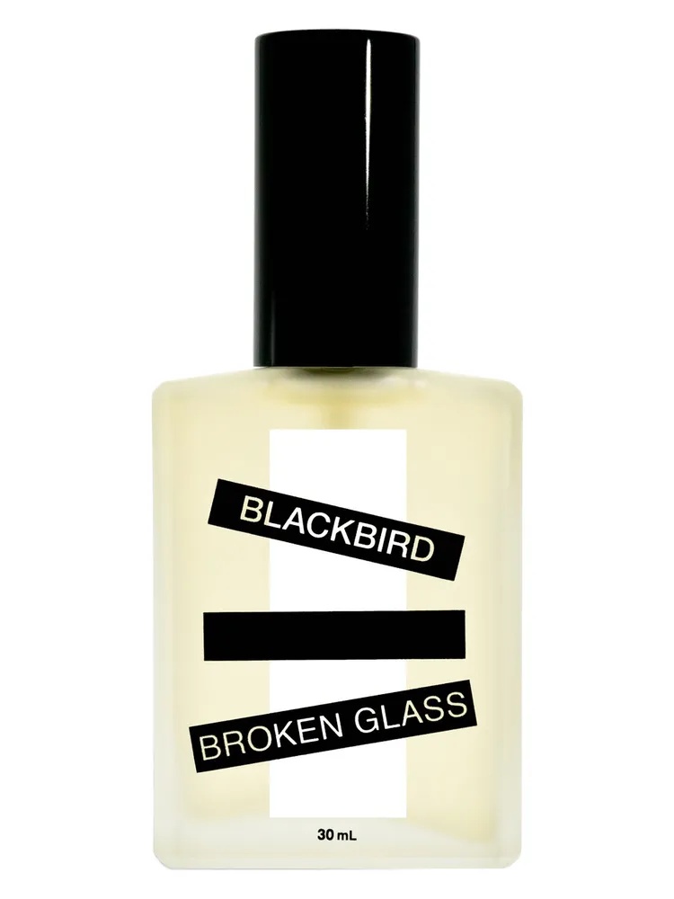 Broken Glass thumbnail 2