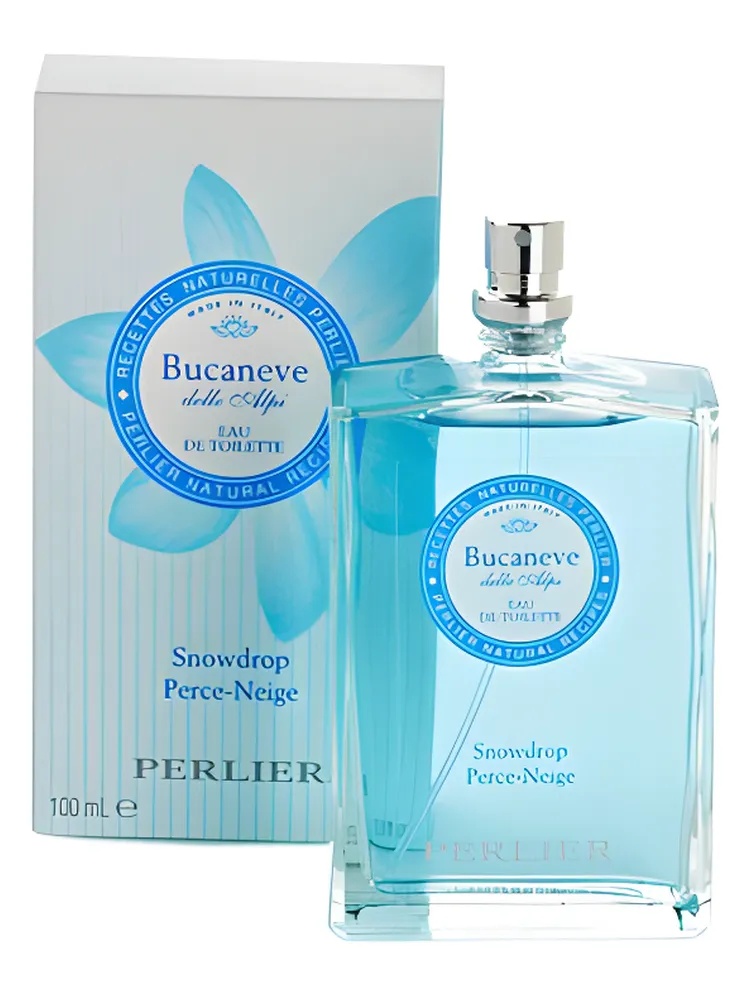 Bucaneve (Snowdrop) thumbnail 2