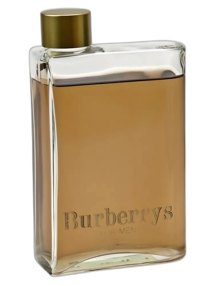 Burberrys for Men by Burberry
