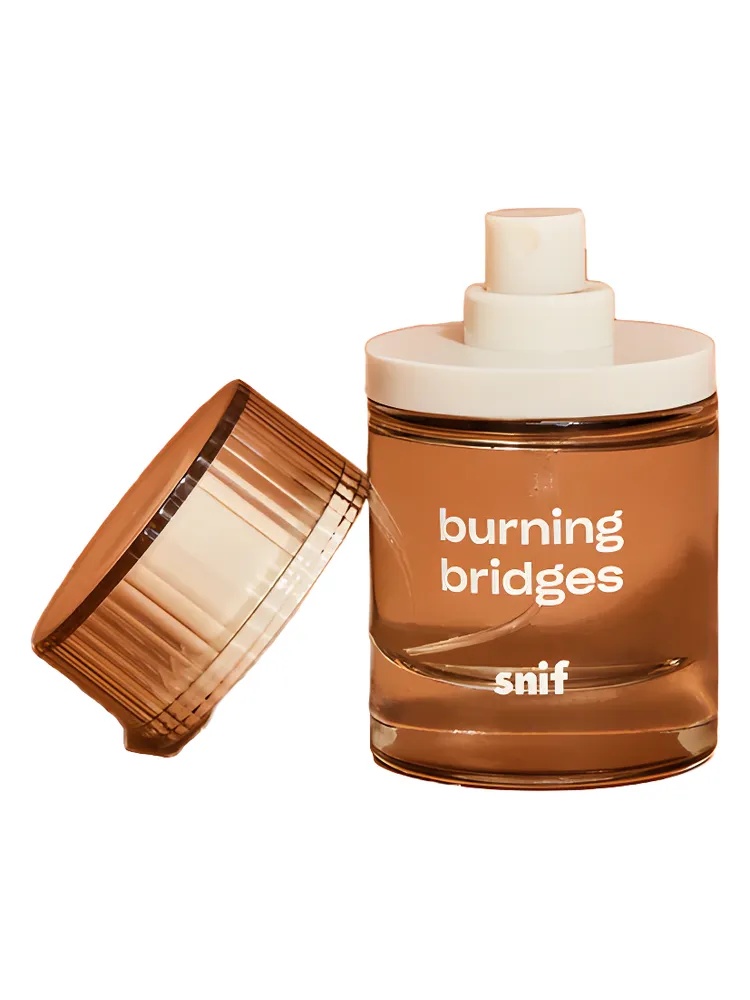 Burning Bridges unisex