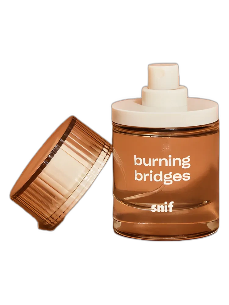 Burning Bridges unisex
