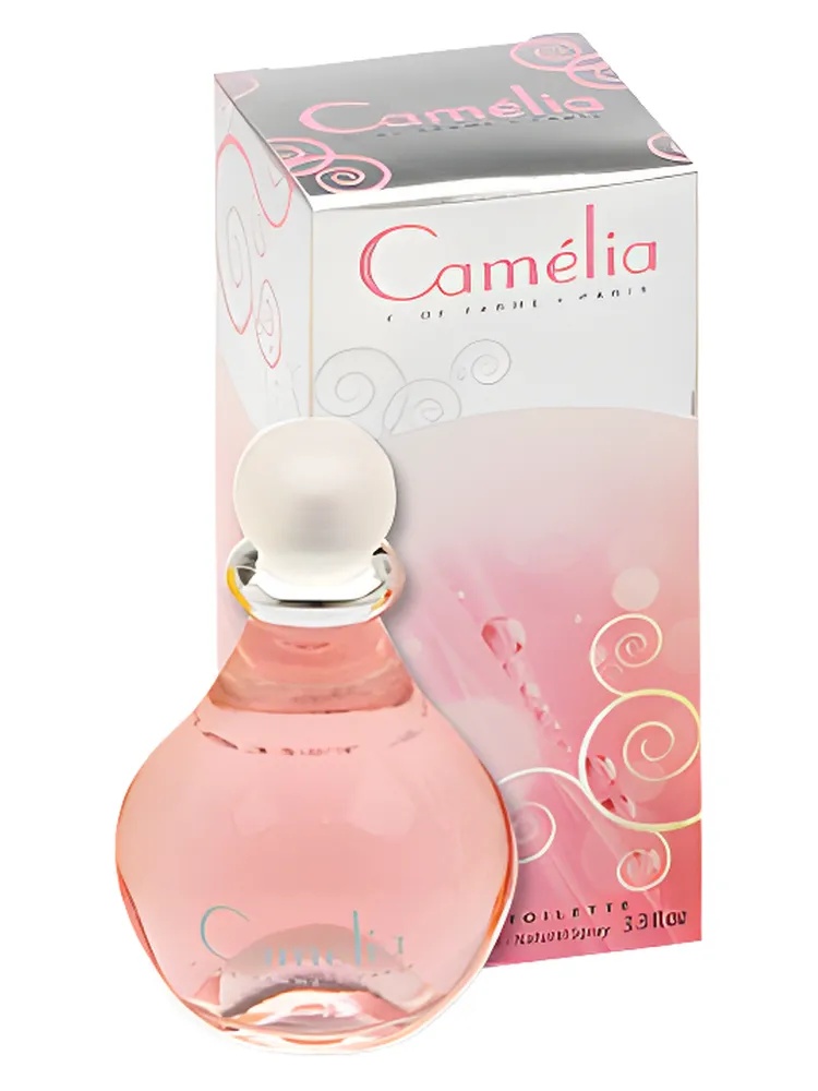 Miniatura 2 de Camelia