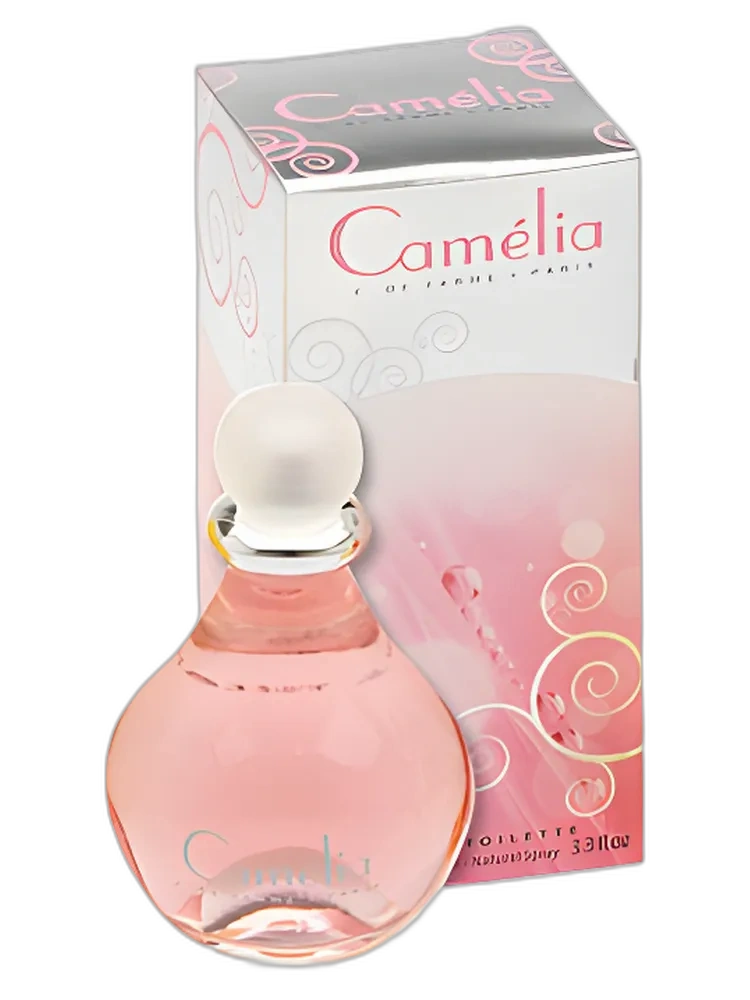 Camélia
