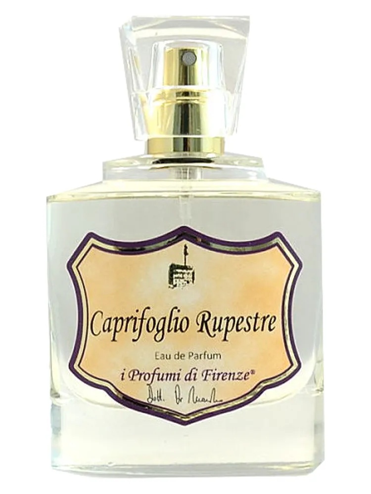Caprifoglio Rupestre thumbnail 2
