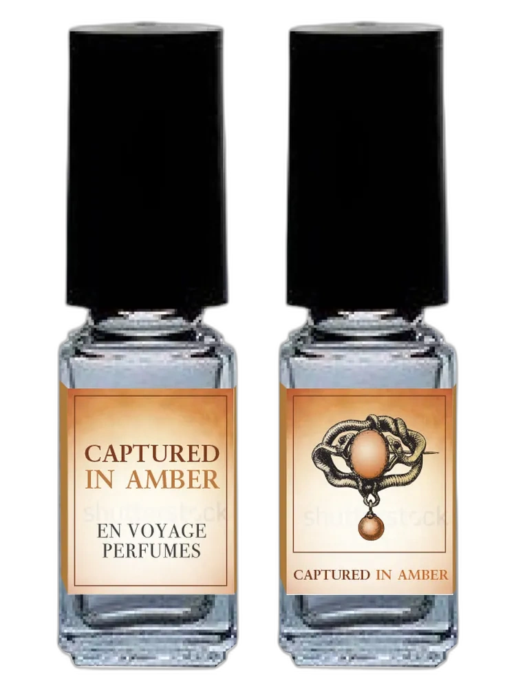 Captured in Amber