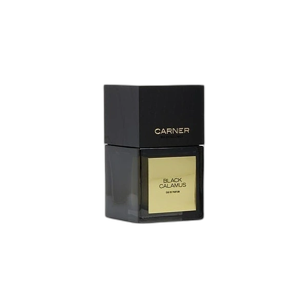 Black Calamus