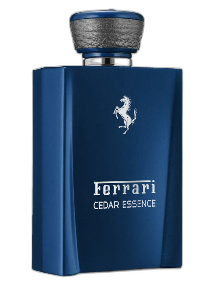 Cedar Essence for men