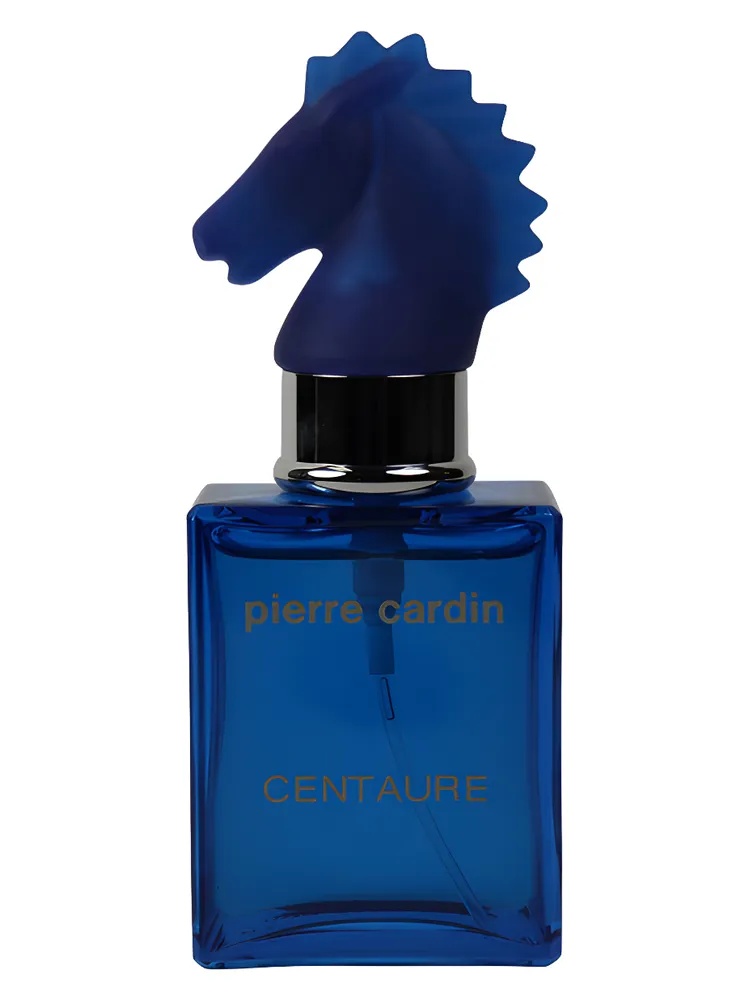 Centaure Cuir Casaque thumbnail 2