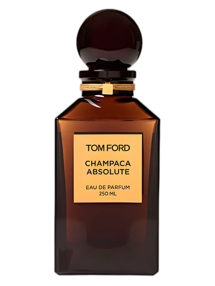 Champaca Absolute