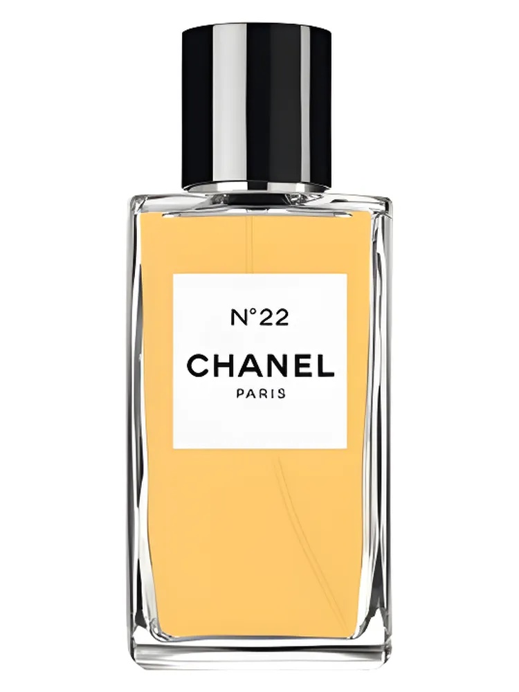 Chanel N22 for women