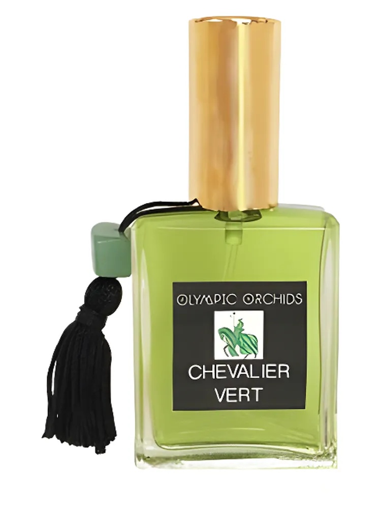 Chevalier Vert by Olympic Orchids