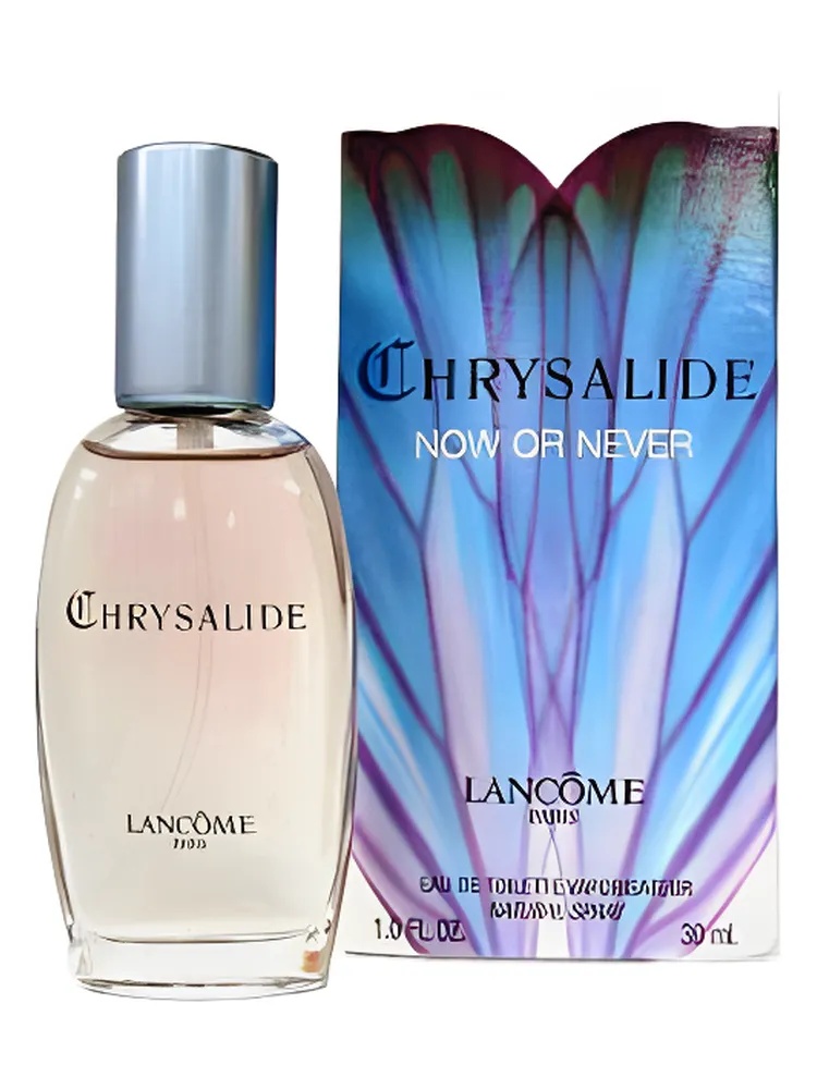 Chrysalide Now or Never thumbnail 2