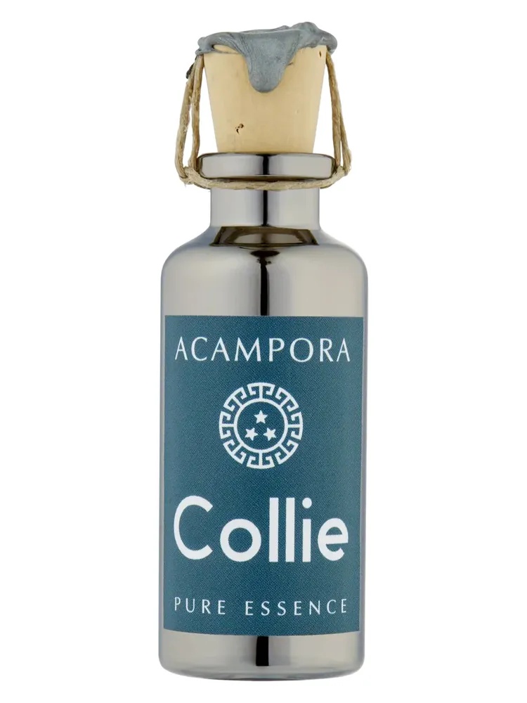 Collie – Pure Essence thumbnail 2