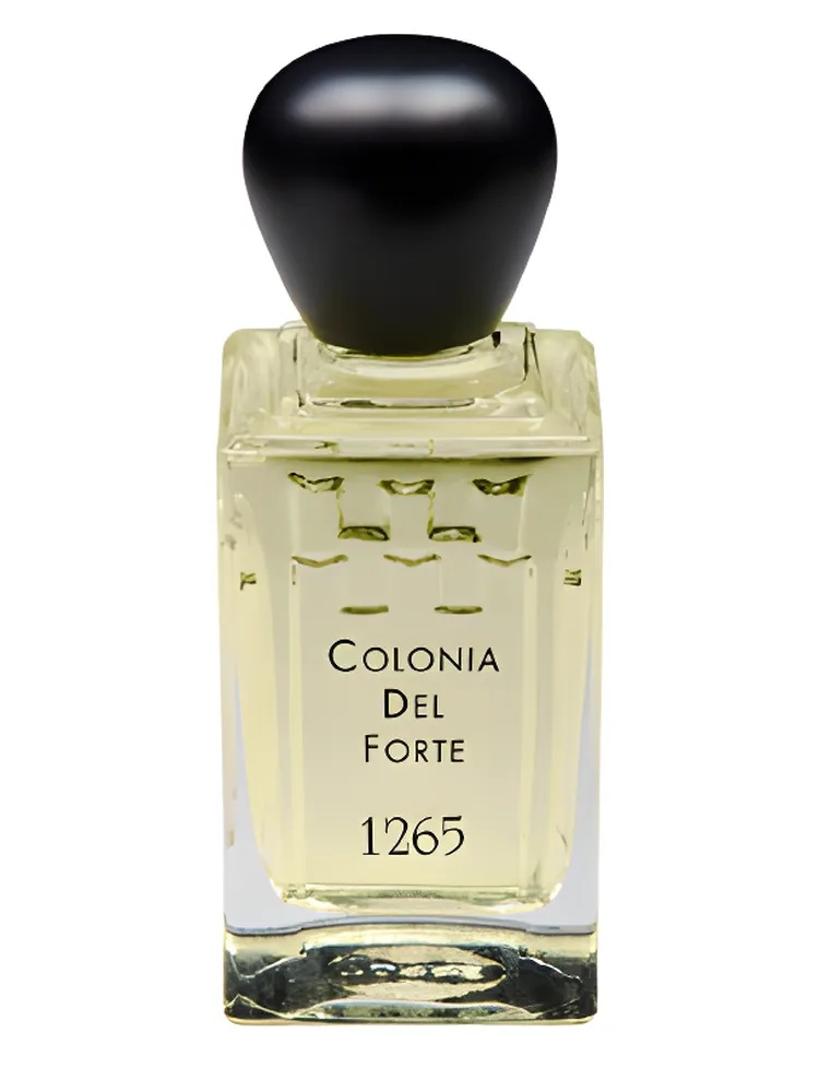 Colonia del Forte 1265 thumbnail 2