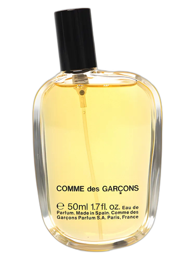 Comme des Garçons