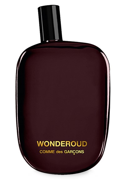 Comme Des Garcons Wonderoud