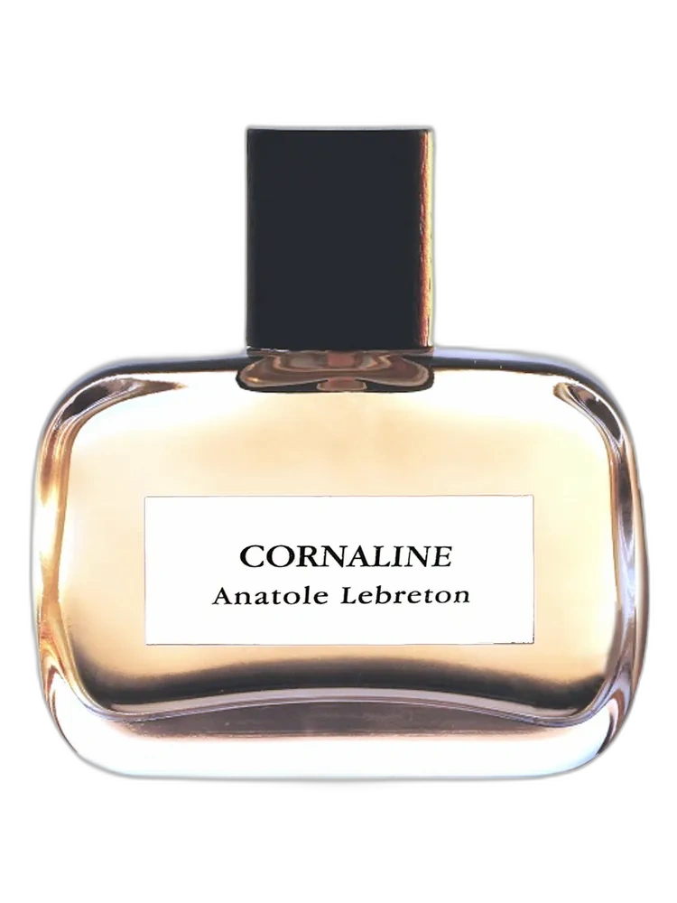 Cornaline unisex