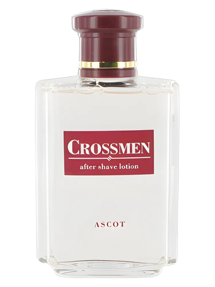 Miniatura 2 de Crossmen Ascot
