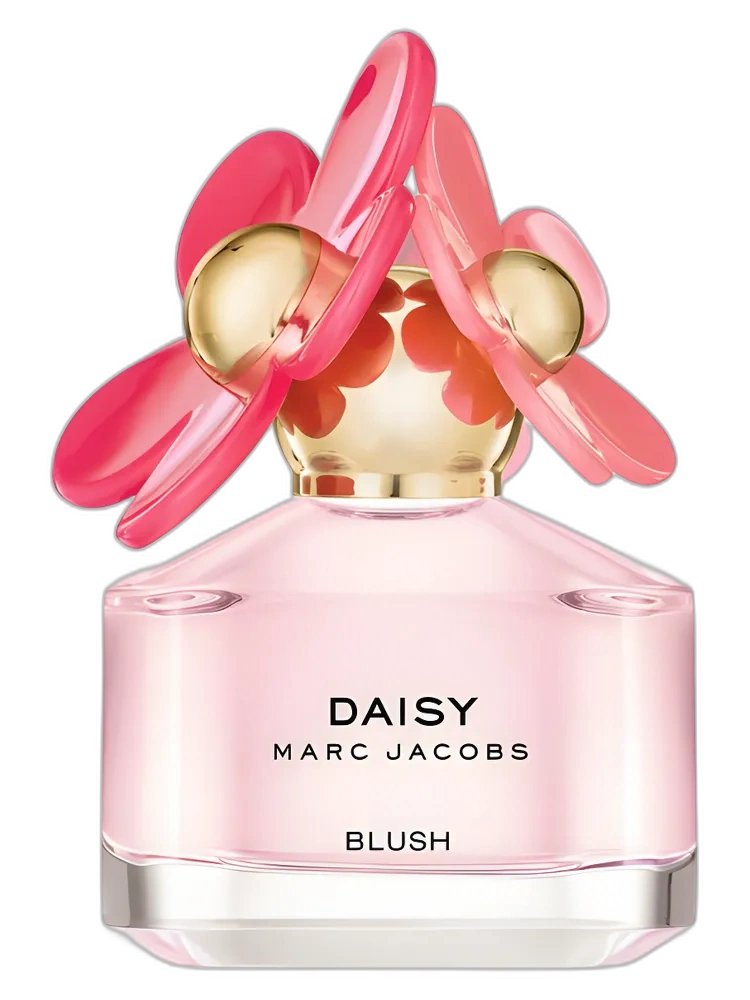 Daisy Blush