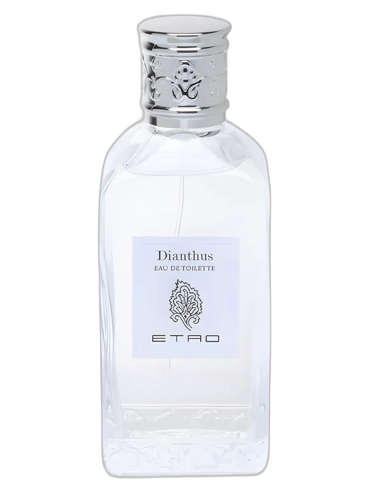 Dianthus for women