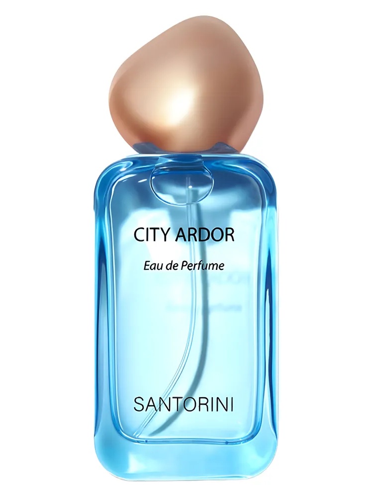 Dream in Santorini Greece unisex