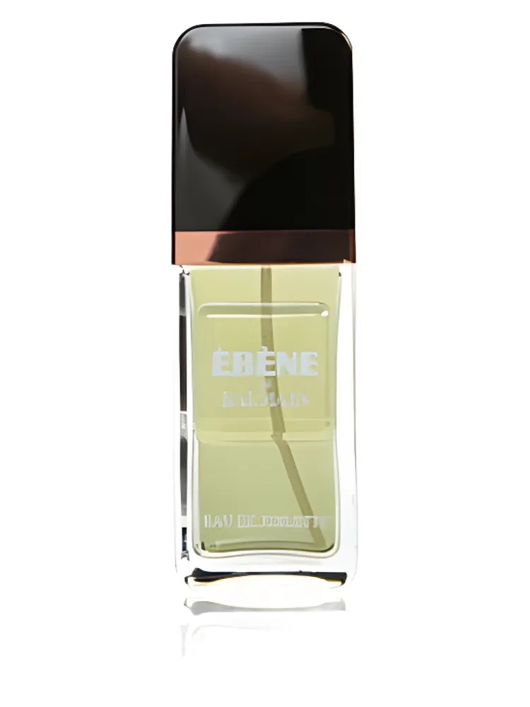 Ebene for men by Pierre Balmain