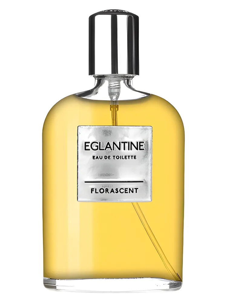 Miniatura 2 de Eglantine