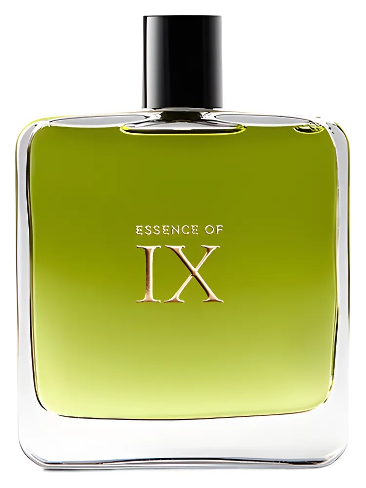Essence of IX thumbnail 2