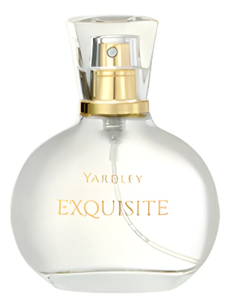 Exquisite thumbnail 2