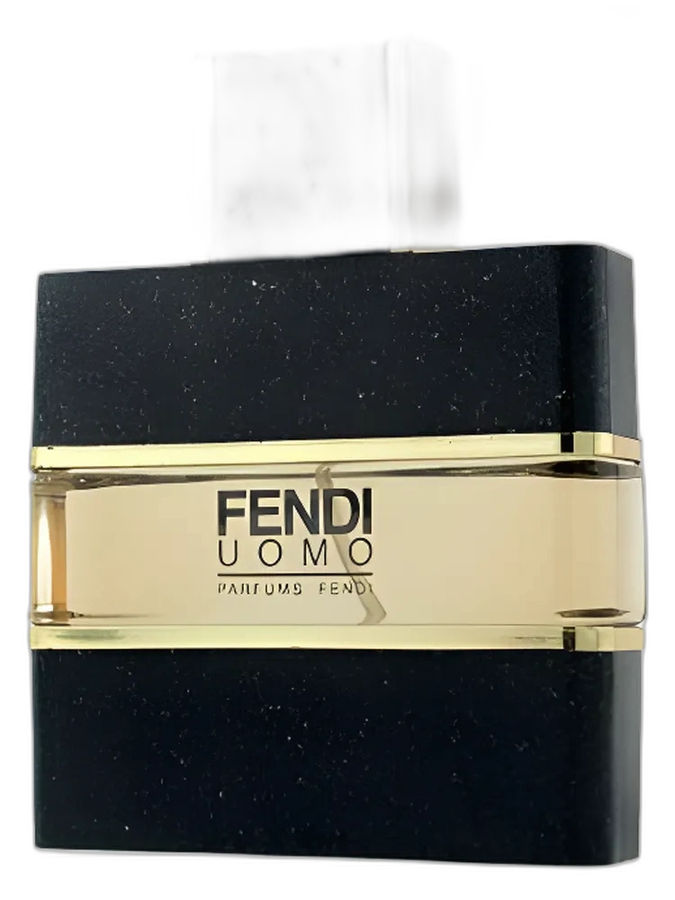 Fendi Uomo for men