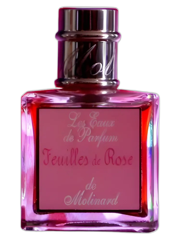 Feuilles de Rose