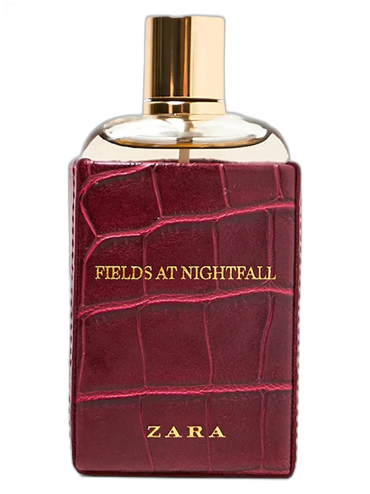 Fields at Nightfall